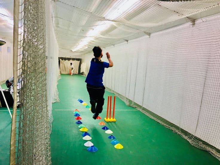 Cricket